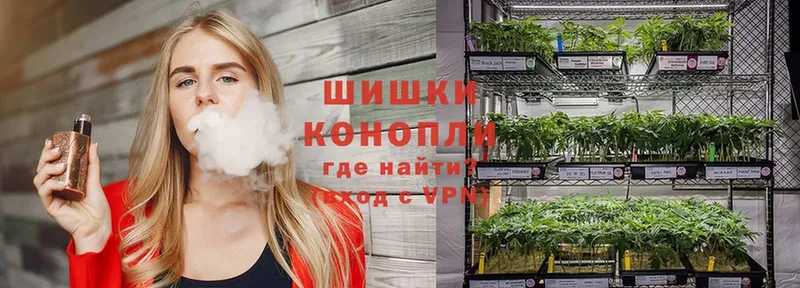 hydra онион  купить наркотики сайты  Заводоуковск  Конопля Ganja 